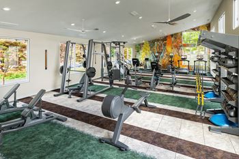 A gym with a variety of equipment including weights and a bench.